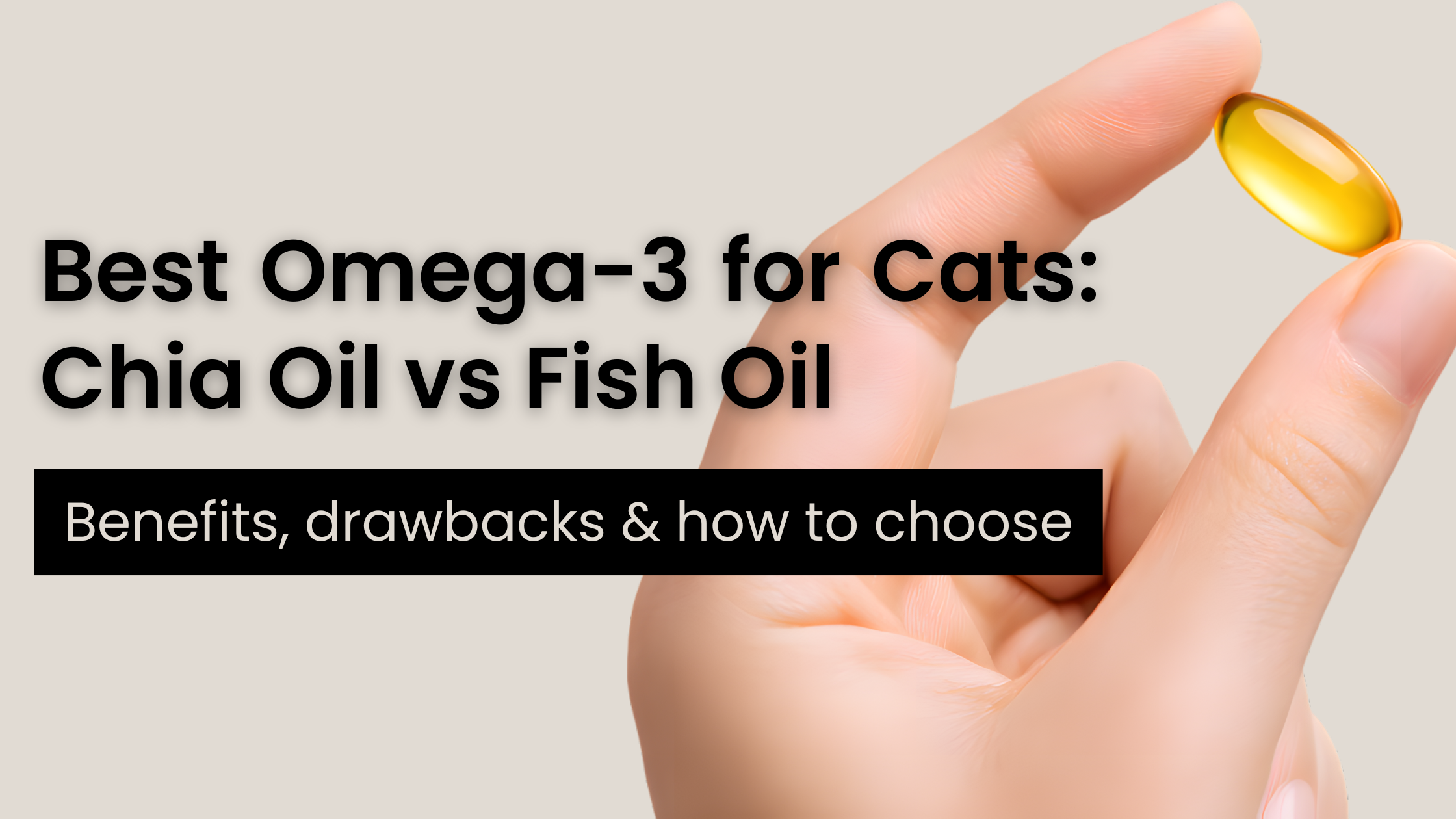 Best Omega-3 for Cats - Chia Oil vs Fish Oil