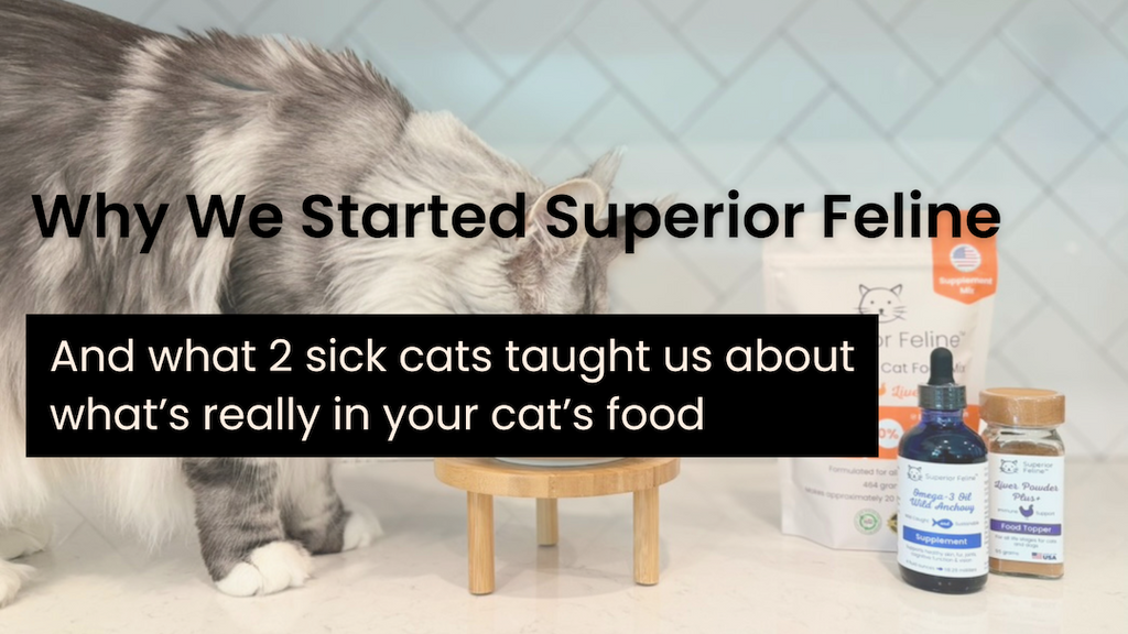 Why We Started Superior Feline