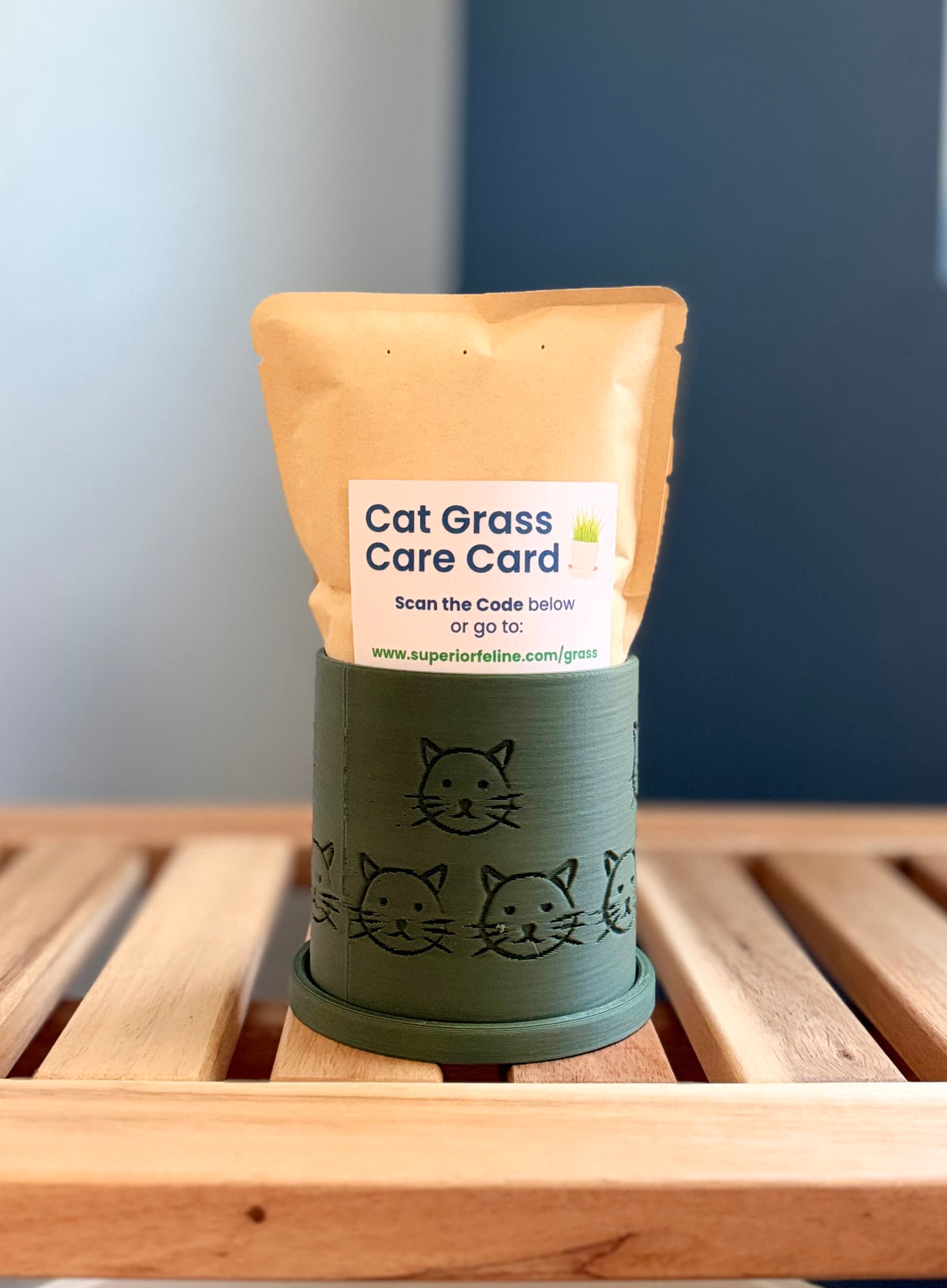A small green colored cylindrical planter with a paw print pattern sits on a wooden slatted surface against a gray-blue background. Inside the planter is pouch with a Cat Grass Care Card in front of it, emerging from the planter.
