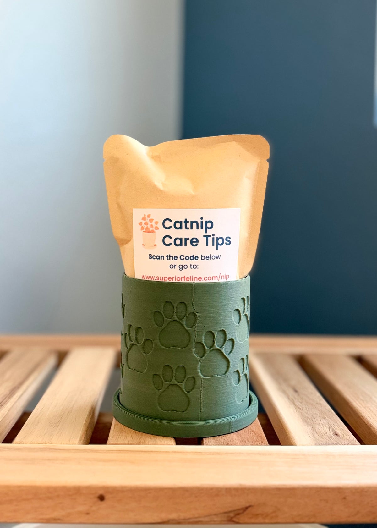 A small green colored cylindrical planter with a paw print pattern sits on a wooden slatted surface against a gray-blue background. Inside the planter is pouch with a Catnip Care Tips card emerging from the planter.