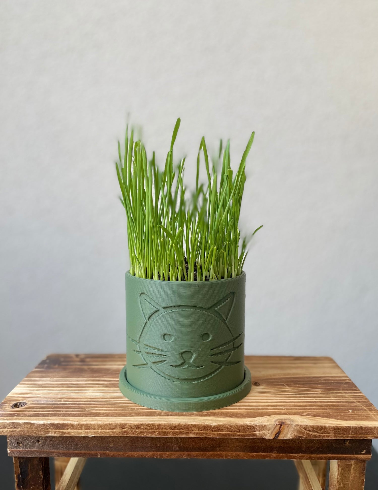 Green planter with cat face design containing green grass on a wooden surface against a plain background