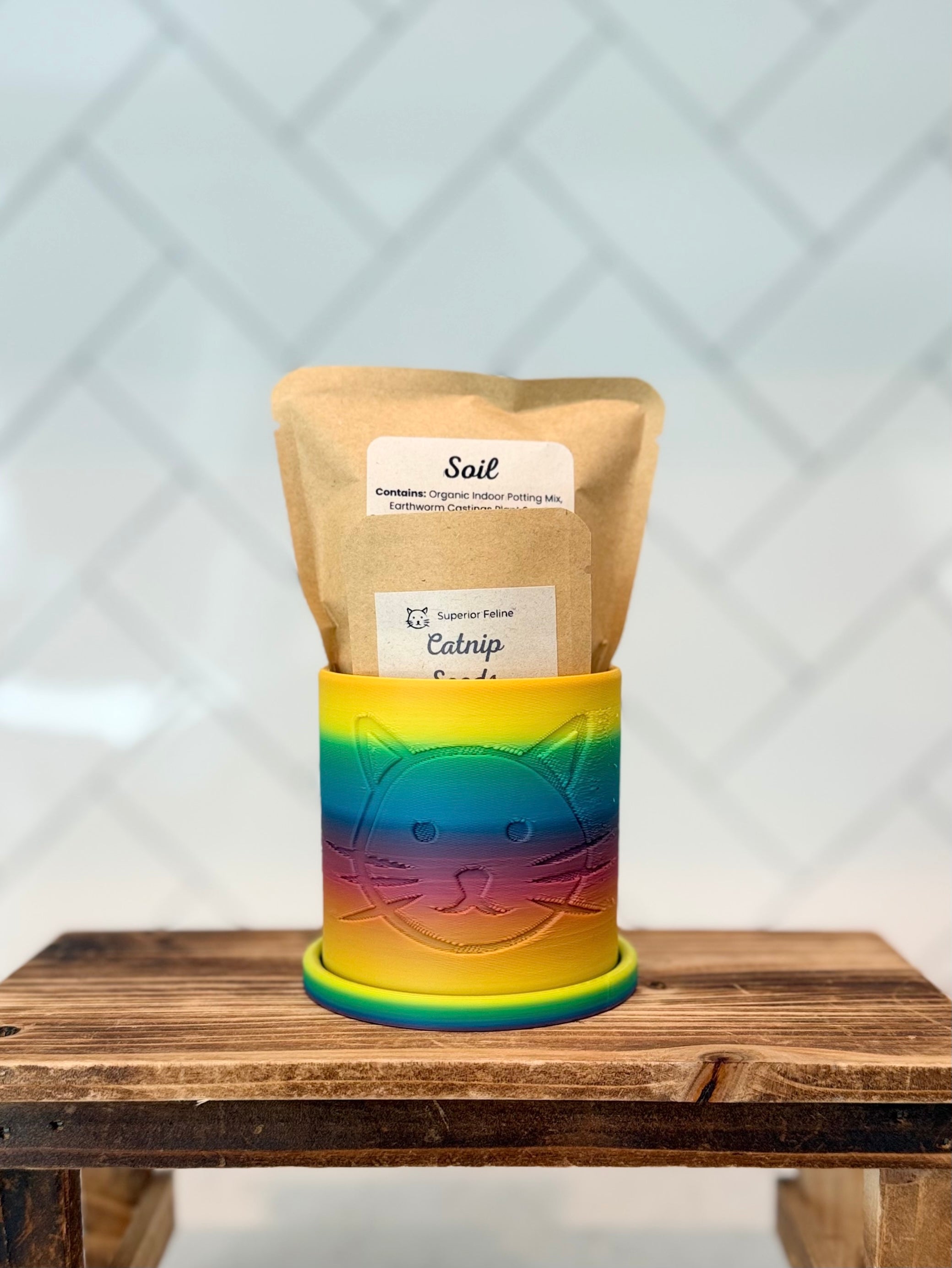 Rainbow-colored planter with cat head design containing packaged catnip seeds and soil on a wooden surface.
