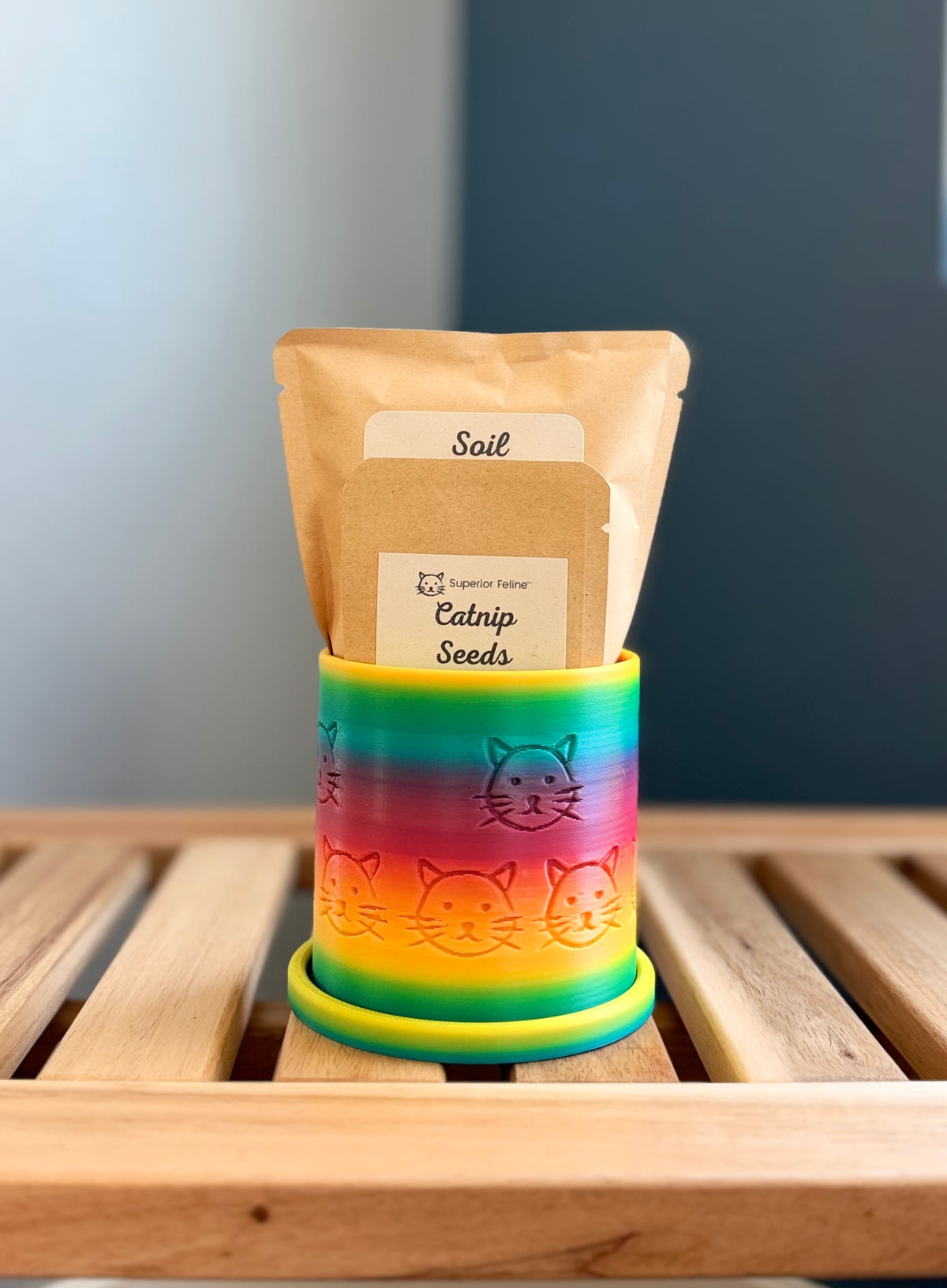 A small rainbow colored cylindrical planter with embossed cat faces sits on a wooden slatted surface against a gray-blue background. Inside the planter are two pouches - a small packet labeled 'Catnip Seeds', and a larger packet labeled 'Soil.'