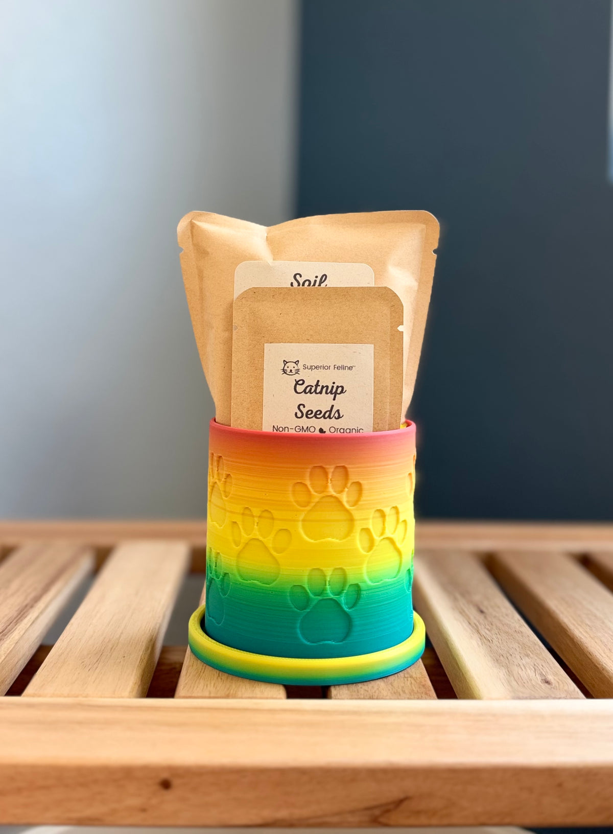 A small rainbow colored cylindrical planter with embossed paw prints sits on a wooden slatted surface against a gray-blue background. Inside the planter are two pouches - a small packet labeled 'Catnip Seeds', and a larger packet labeled 'Soil.'